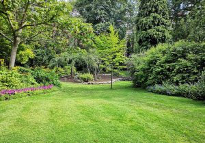 Optimiser l'expérience du jardin à Saint-Clair-sur-Epte